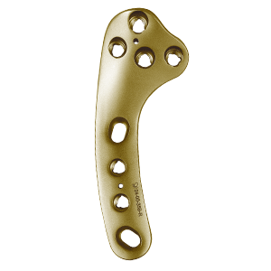 BioMedtrix