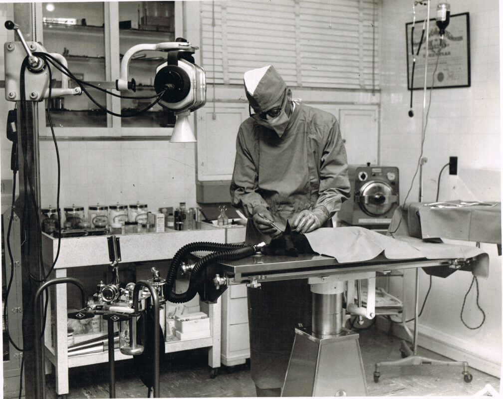 BioMedtrix