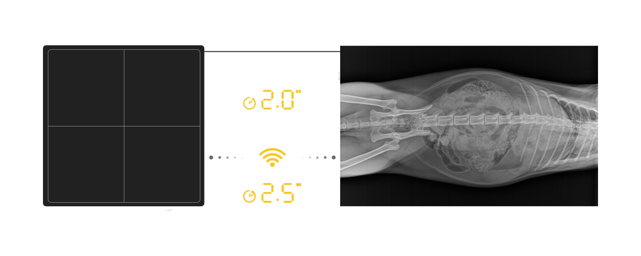 BioMedtrix