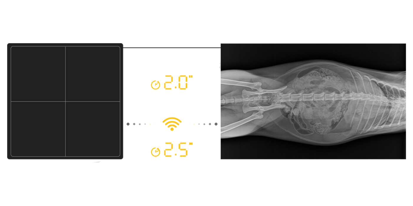 BioMedtrix