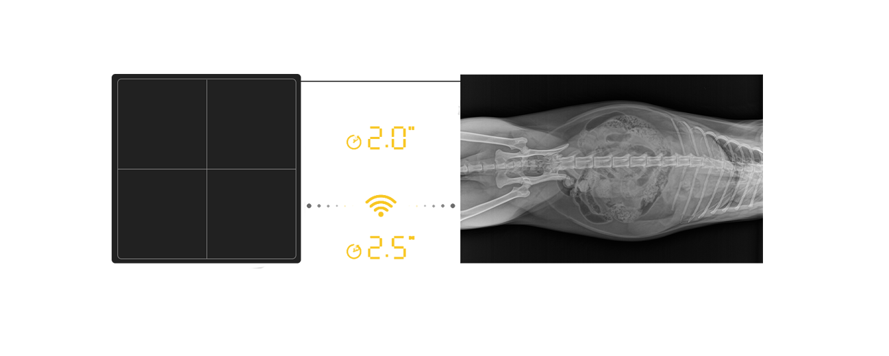 BioMedtrix