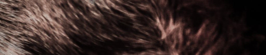 BioMedtrix