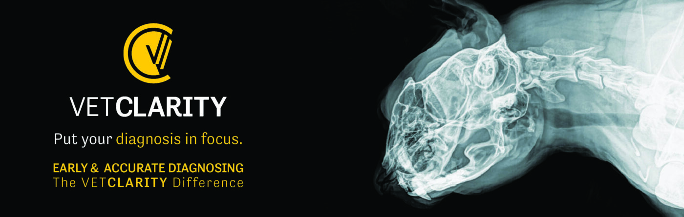 BioMedtrix