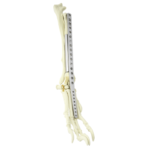 BioMedtrix