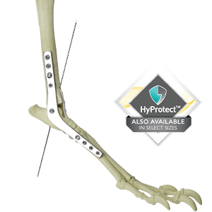 BioMedtrix