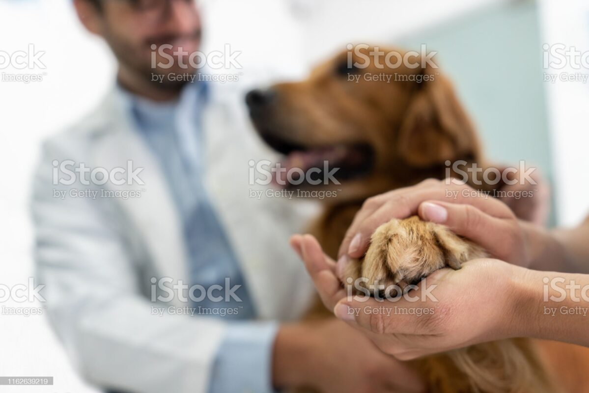 BioMedtrix