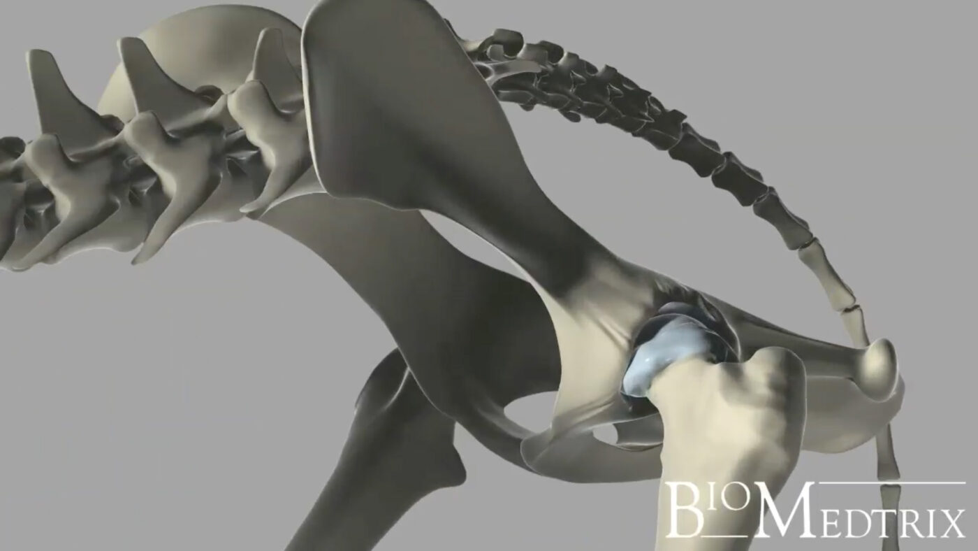 BioMedtrix