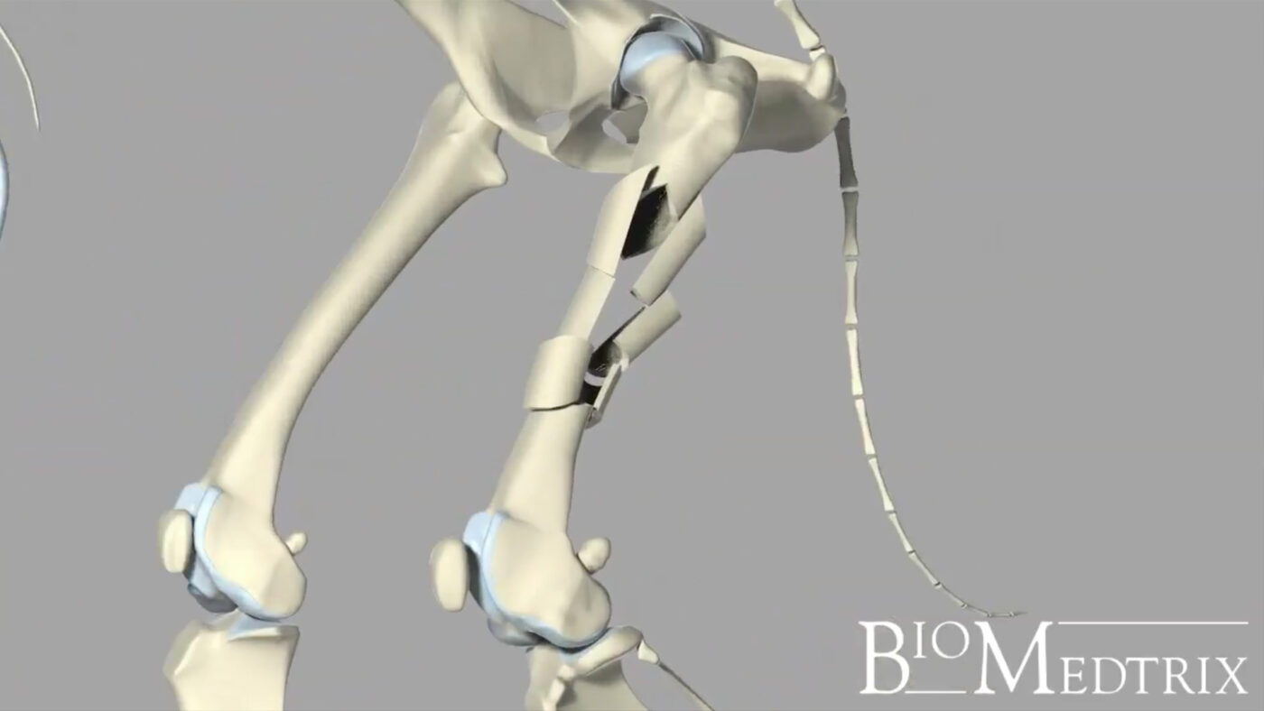 BioMedtrix