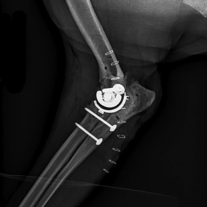 BioMedtrix
